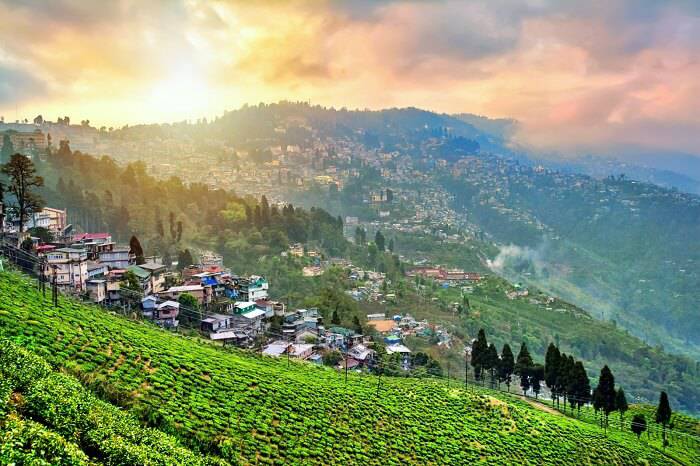 Sikkim Darjeeling Taxi